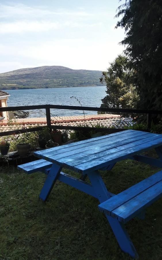 Sea Lodge B&B Durrus Εξωτερικό φωτογραφία